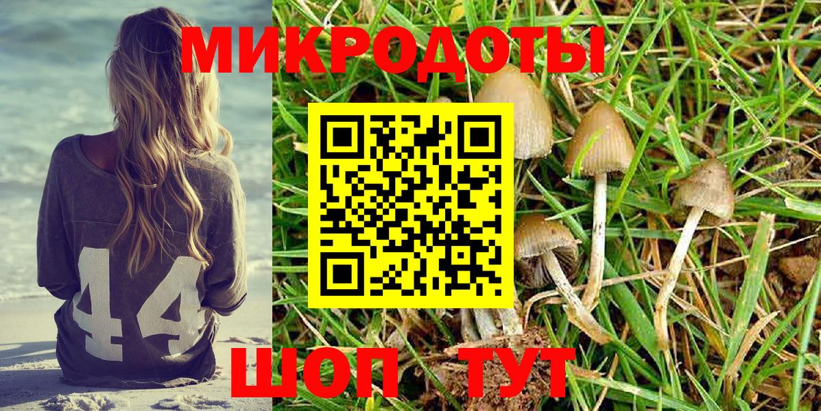 Галлюциногенные грибы мицелий Чернушка