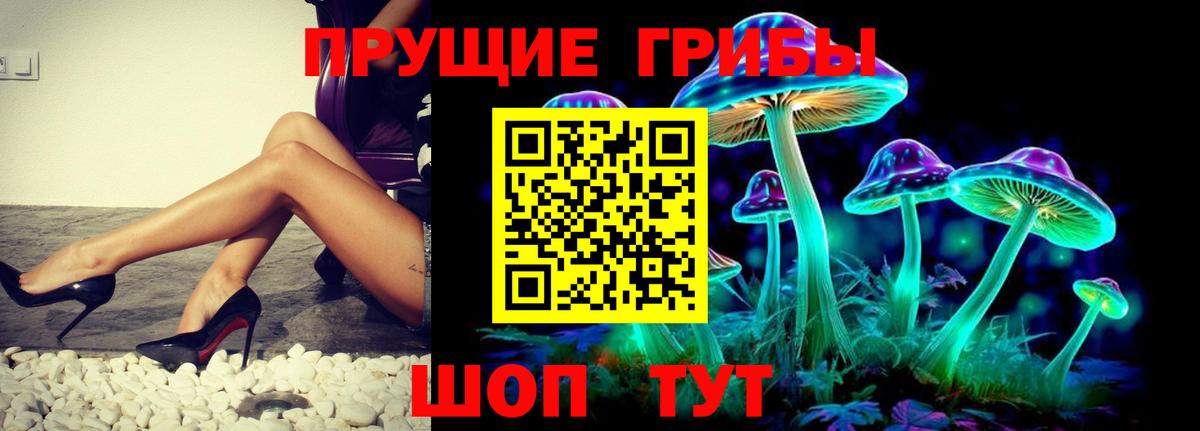 Чернушка  Псилоцибиновые грибы GOLDEN TEACHER  Вход с VPN 