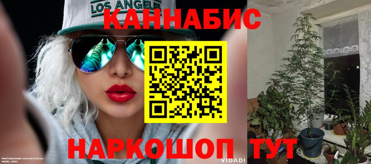 Конопля Чернушка